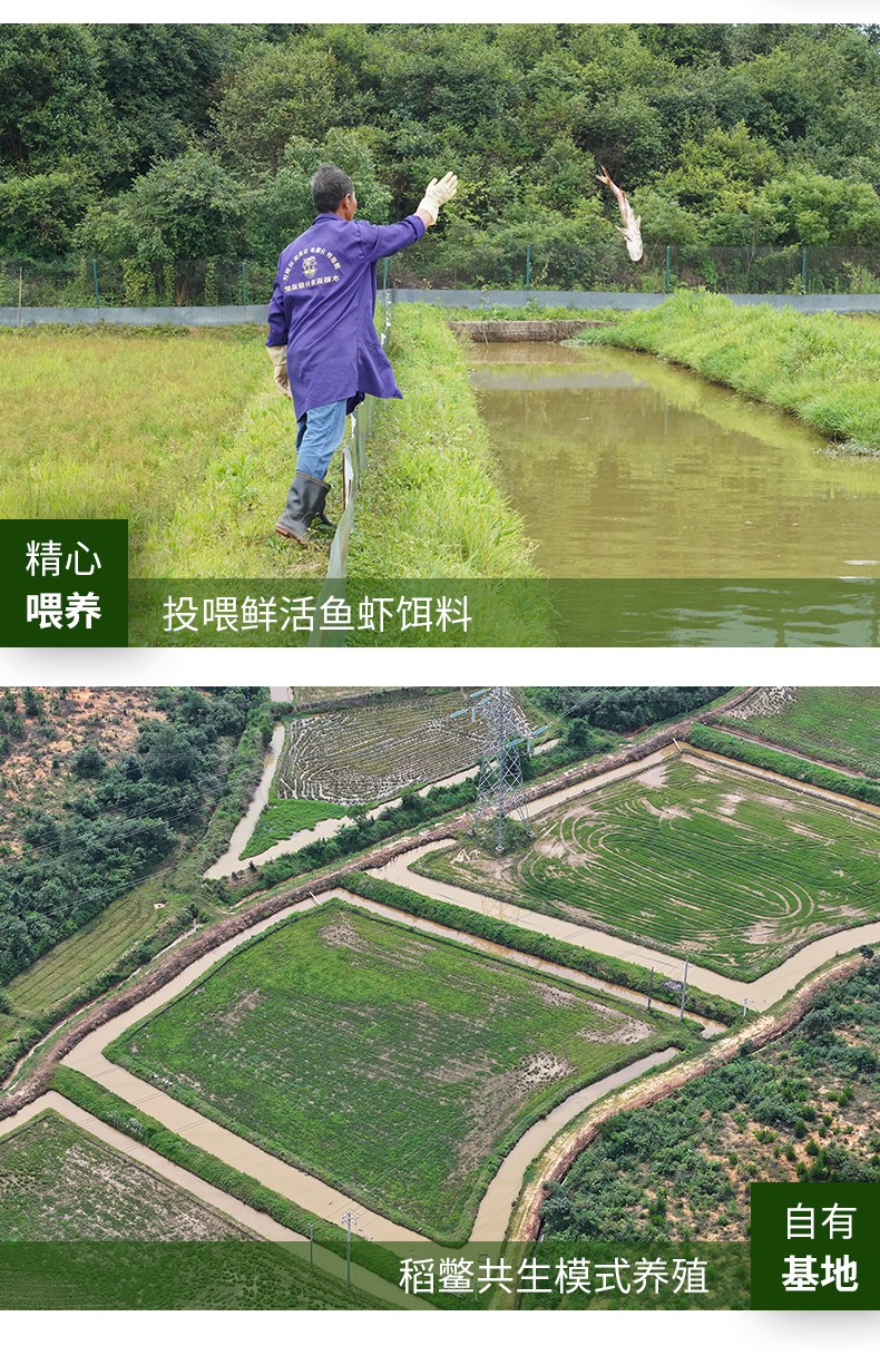 和萬(wàn)安|生態(tài)農(nóng)業(yè)|有機(jī)食品|綠色食品|稻田共養(yǎng)