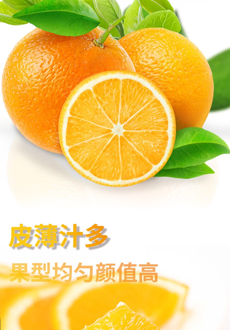 和萬安|生態農業|有機食品|綠色食品|稻田共養