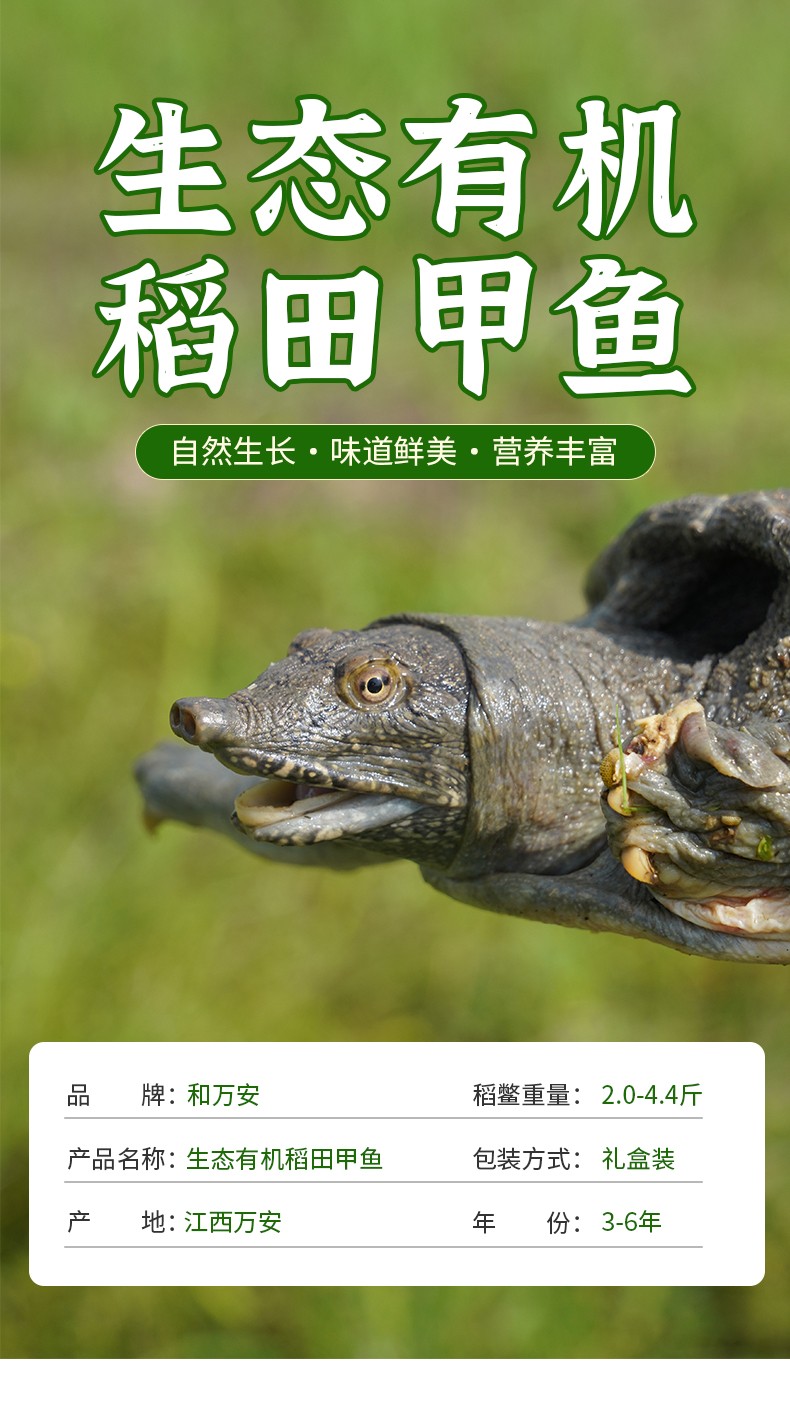 和萬(wàn)安|生態(tài)農(nóng)業(yè)|有機(jī)食品|綠色食品|稻田共養(yǎng)