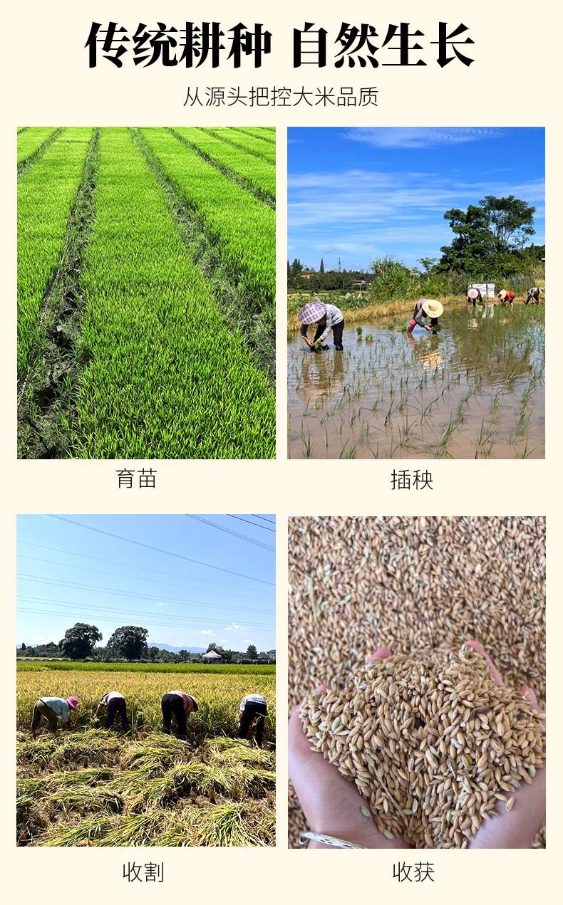 和萬安|生態(tài)農(nóng)業(yè)|有機(jī)食品|綠色食品|稻田共養(yǎng)