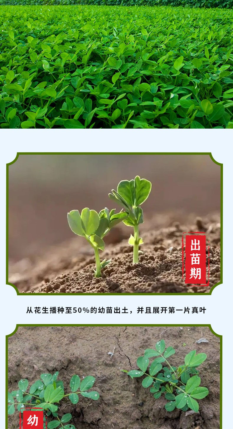 和萬安|生態(tài)農業(yè)|有機食品|綠色食品|稻田共養(yǎng)