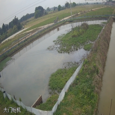 禾天下基地直播-剡溪2