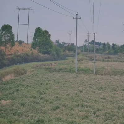 禾天下農(nóng)業(yè)直播-剡溪5